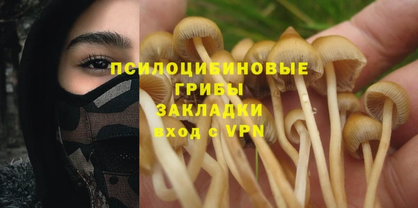 тгк Заволжск