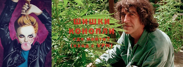 твердый Заволжье