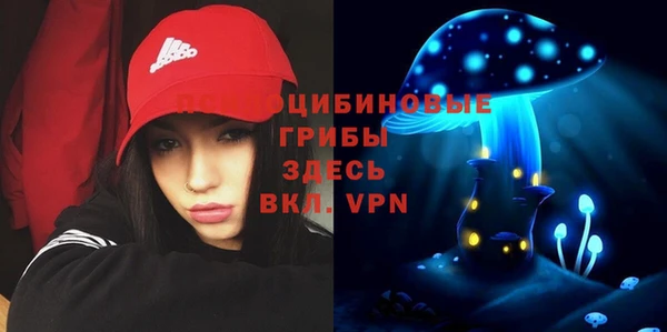 твердый Заволжье