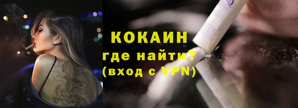 не бодяженный Заводоуковск