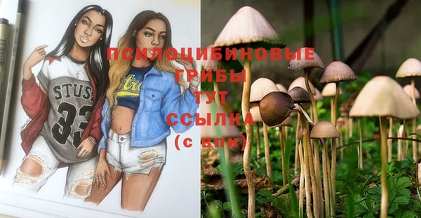 твердый Заволжье