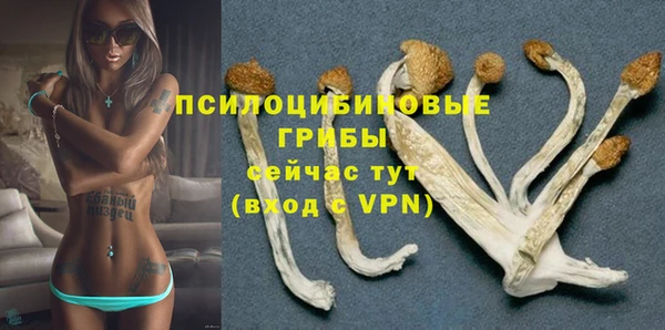 не бодяженный Заводоуковск